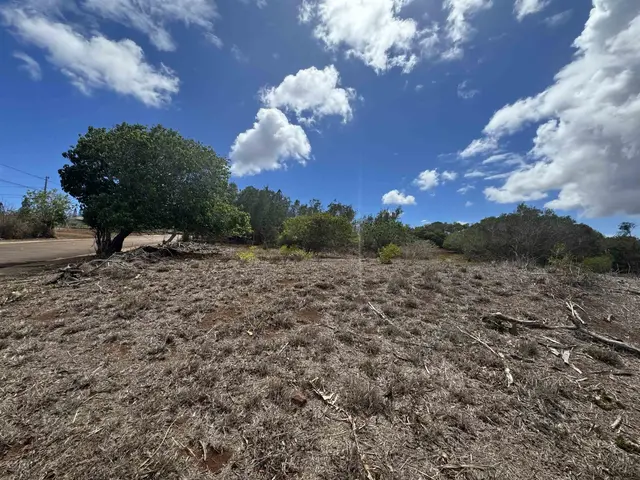 Listing Image for Kaana St 499 7 of 12