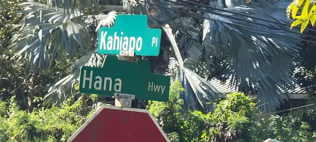 Listing Image for 0 Kahiapo Pl 18 of 19