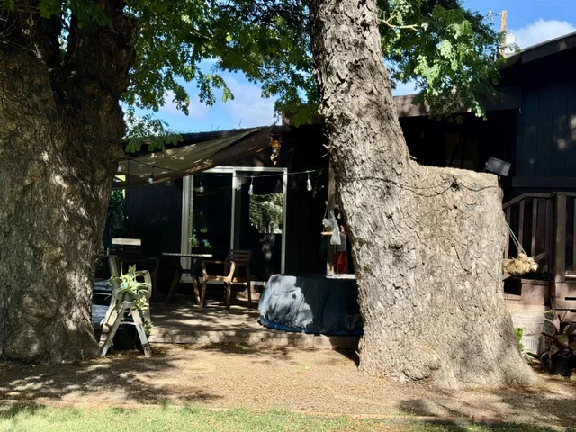 Listing Image for 22 Kawela Way 42 of 44