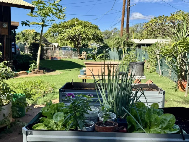 Listing Image for 22 Kawela Way 6 of 44