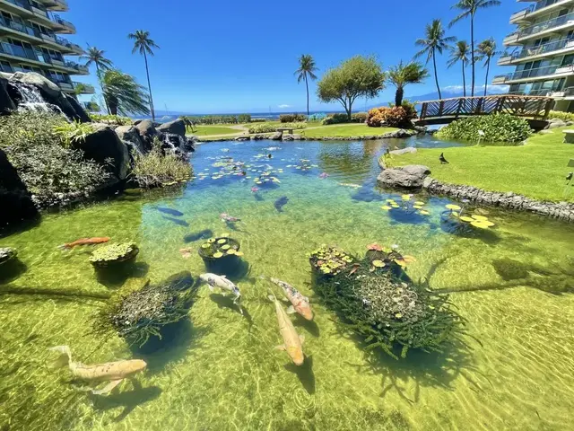 Listing Image for 2481 Kaanapali Pkwy 669 43 of 43