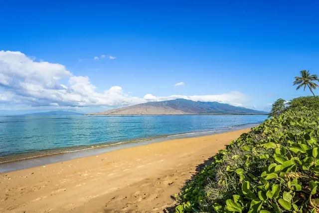 Listing Image for 940 S Kihei Rd C-203 49 of 49