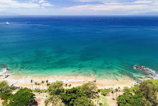 Listing Image for 160 Keonekai Rd 27-201 34 of 35