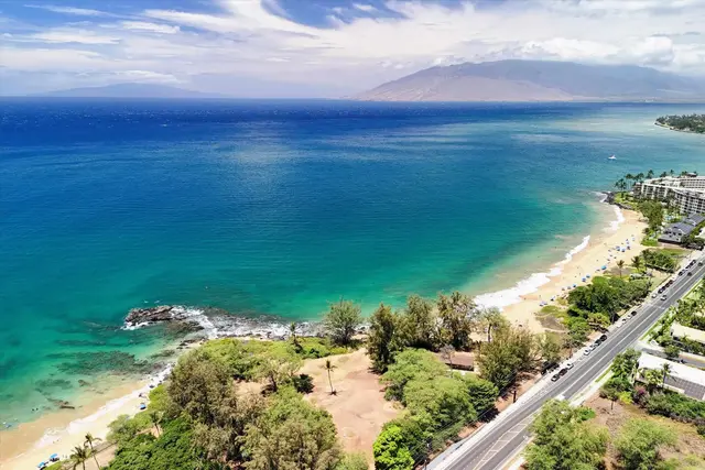 Listing Image for 160 Keonekai Rd 27-201 35 of 35