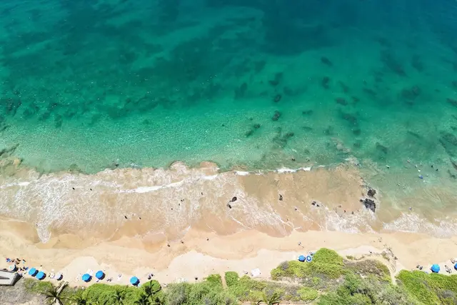 Listing Image for 160 Keonekai Rd 27-201 38 of 41