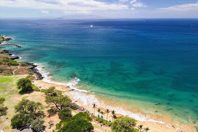 Listing Image for 160 Keonekai Rd 27-201 39 of 41