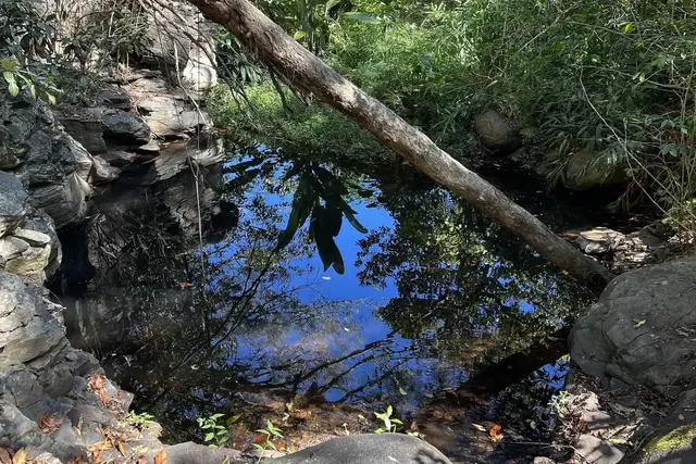 2290 Kaupakalua Rd, Haiku, 400100 - 2/7