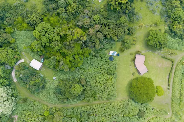 Listing Image for 41647 Hana Hwy 29 of 30