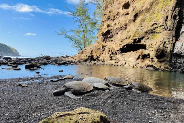 Listing Image for 400 Mehana Rd 45 of 50