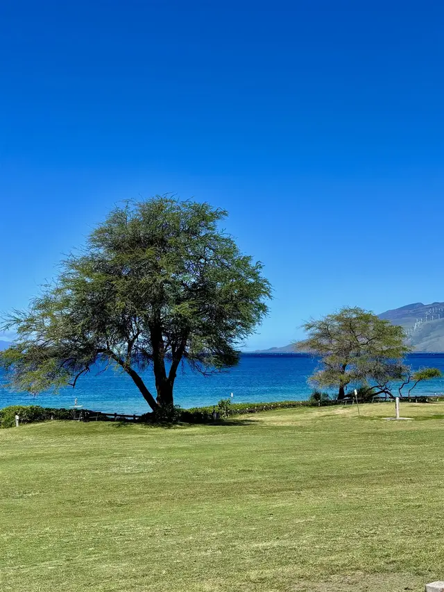 Listing Image for 2747 S Kihei Rd B-306 1 of 19