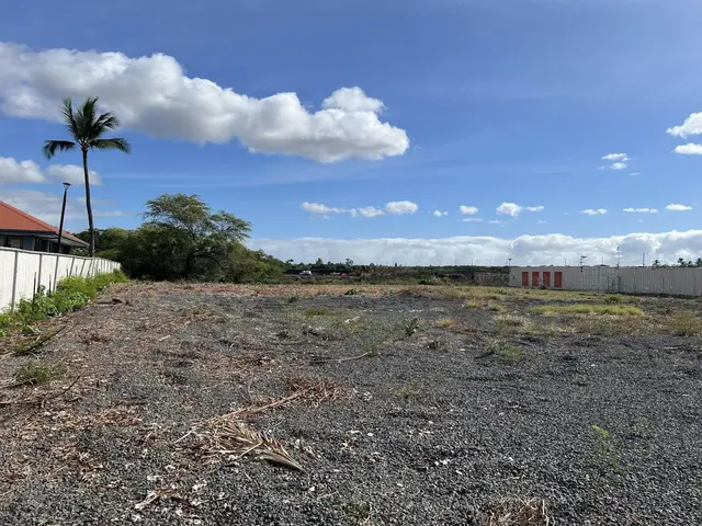 Listing Image for 91 E Lipoa St Yard Space 2 of 3