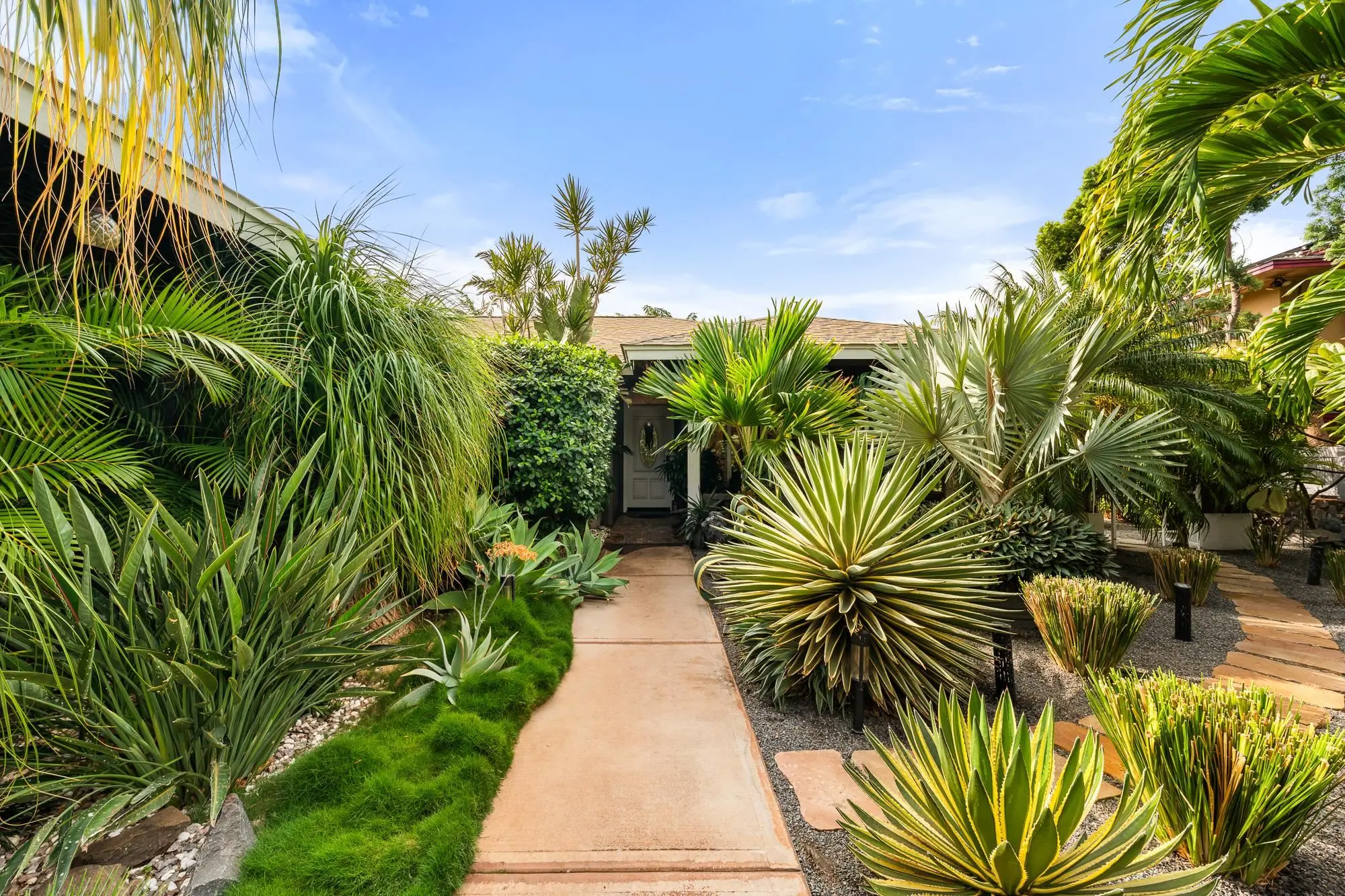 Photo of Listing #408536