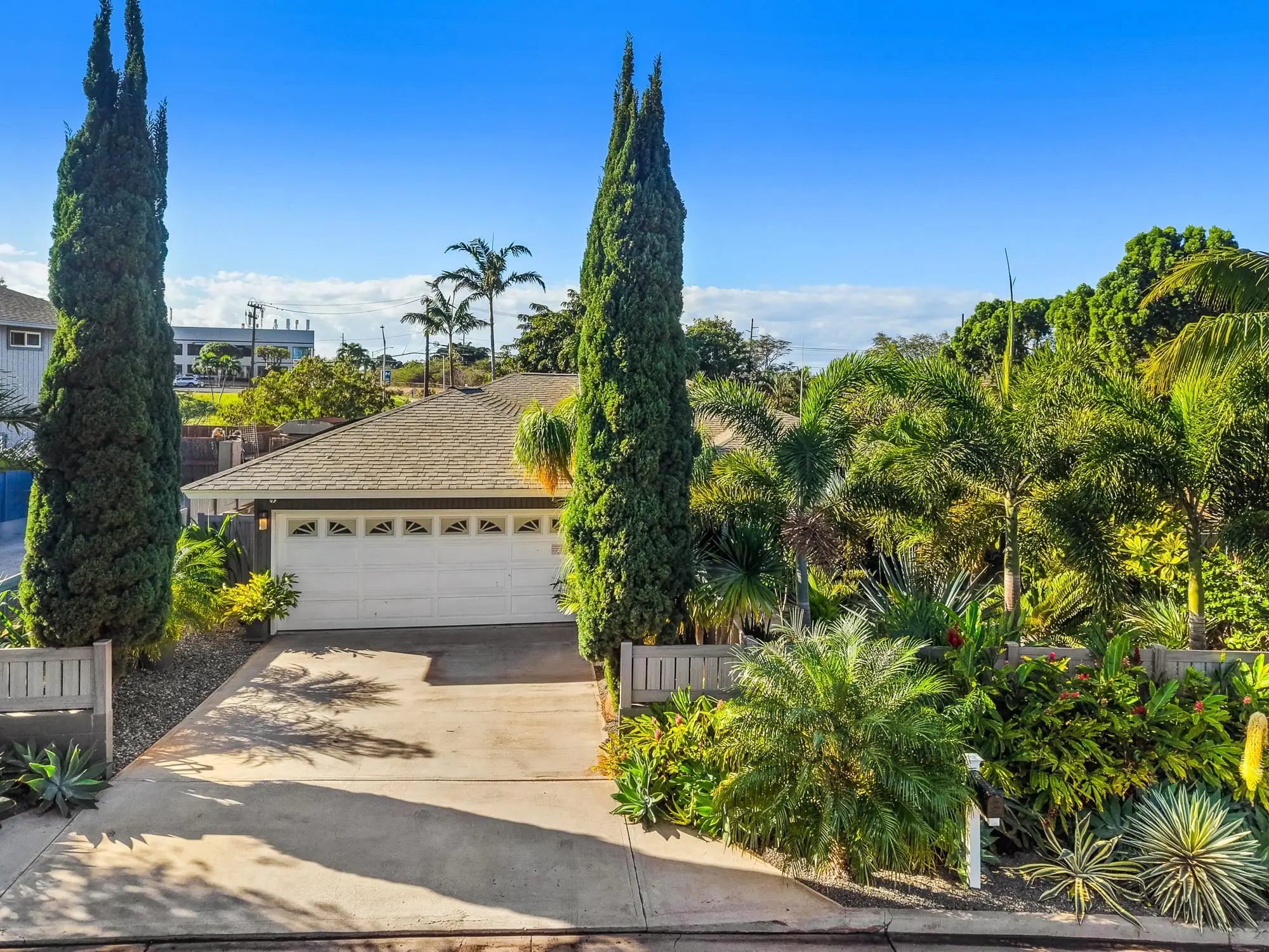 Photo of Listing #408536