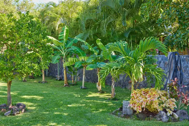 Listing Image for 9 Kupuna St 45 of 47