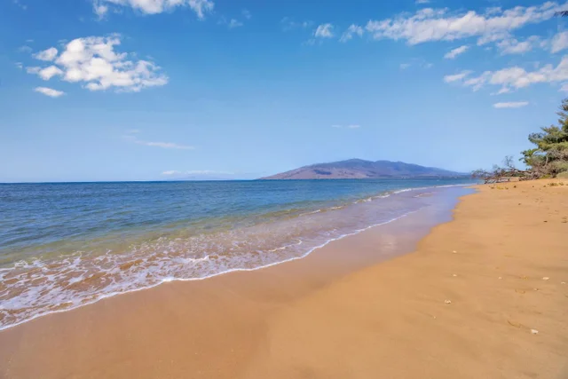 Listing Image for 1450 S Kihei Rd F 201 30 of 39