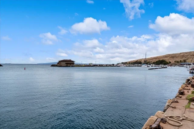 Listing Image for 20 Hauoli St 201 29 of 31