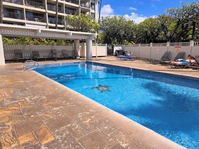 Listing Image for 2531 S Kihei Rd C-318 24 of 30