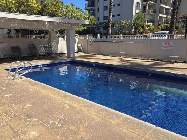 Listing Image for 2531 S Kihei Rd C-318 25 of 29