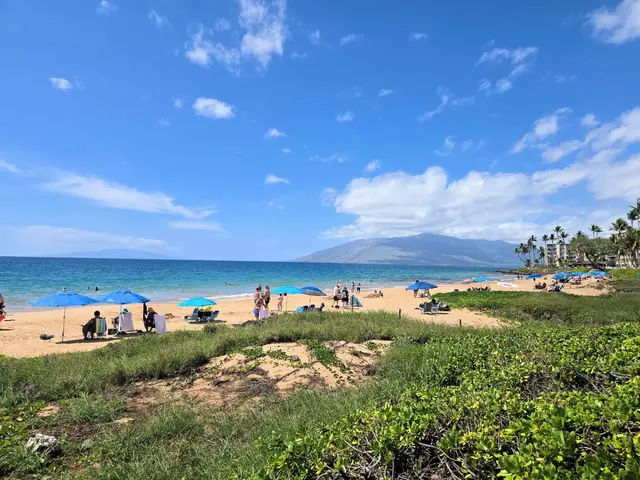 Listing Image for 2531 S Kihei Rd C-318 30 of 30