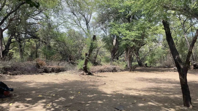 Listing Image for 01 Kamehameha V Hwy 11 of 17