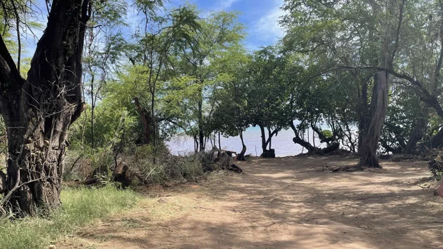 Listing Image for 01 Kamehameha V Hwy 12 of 17