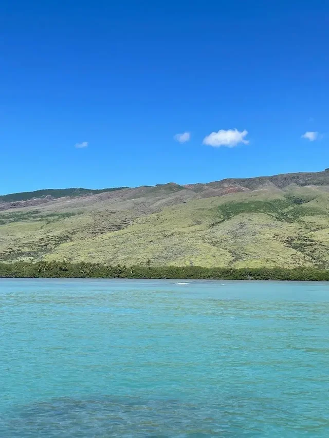 Listing Image for 01 Kamehameha V Hwy 16 of 17