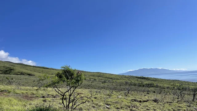 Listing Image for 01 Kamehameha V Hwy 4 of 17