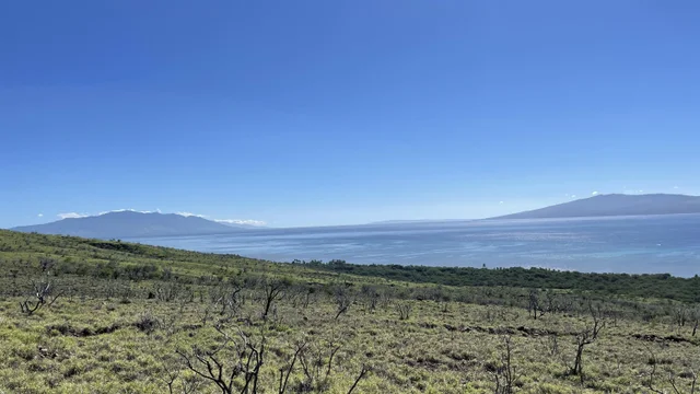 Listing Image for 01 Kamehameha V Hwy 5 of 17