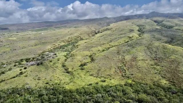 Listing Image for 01 Kamehameha V Hwy 6 of 17