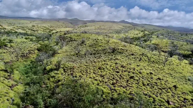 Listing Image for 01 Kamehameha V Hwy 7 of 17