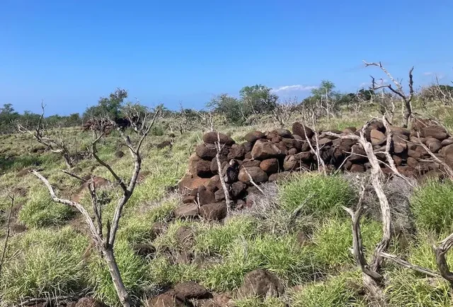 Listing Image for 01 Kamehameha V Hwy 8 of 17