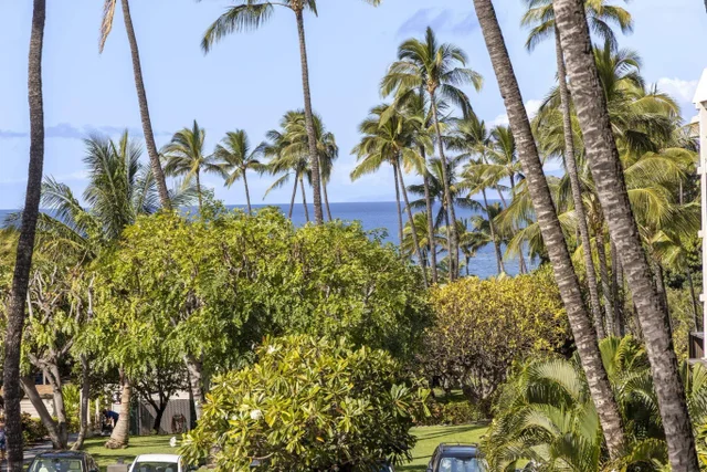 Listing Image for 2531 S Kihei Rd D213 2 of 49