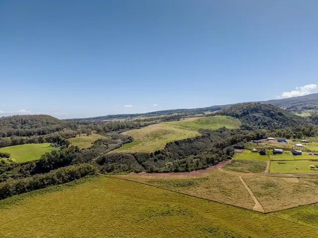 Listing Image for 93 Piiholo Rd A 10 of 39