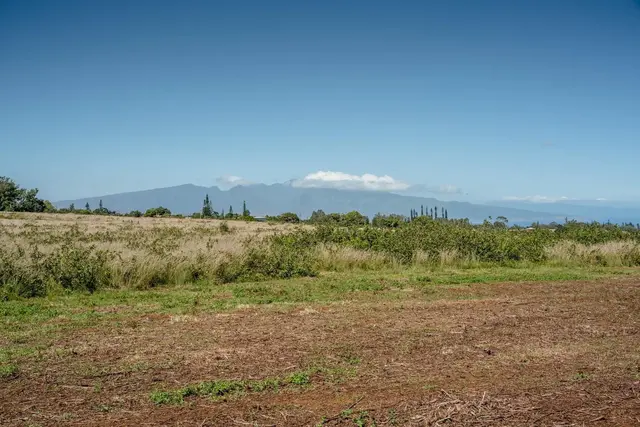 Listing Image for 93 Piiholo Rd A 11 of 39