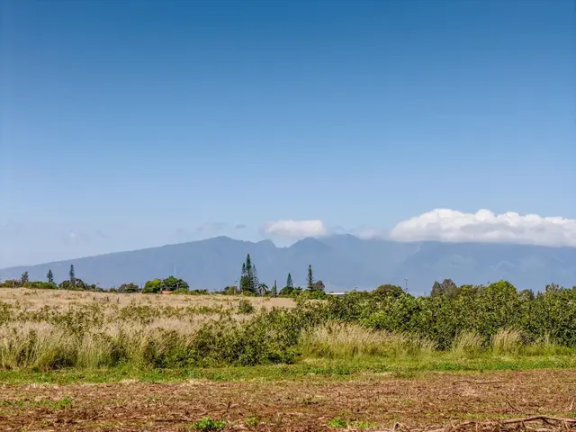 Listing Image for 93 Piiholo Rd A 13 of 39