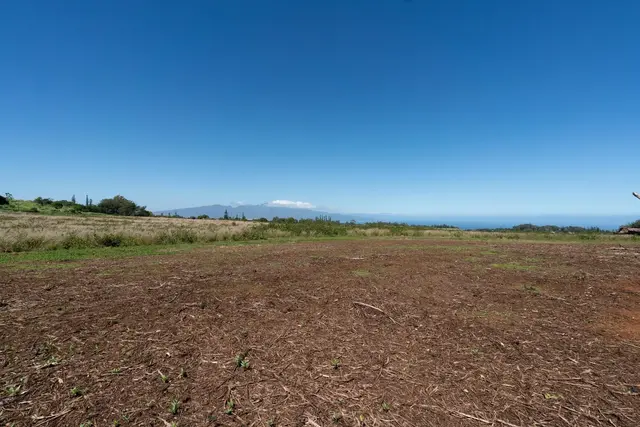 Listing Image for 93 Piiholo Rd A 14 of 39
