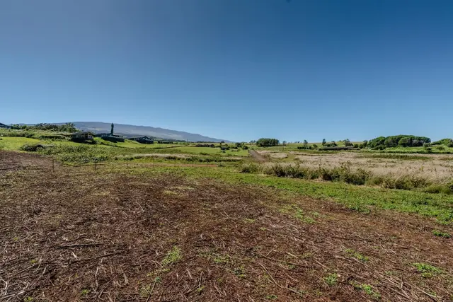 Listing Image for 93 Piiholo Rd A 15 of 39