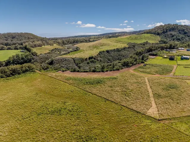Listing Image for 93 Piiholo Rd A 16 of 39