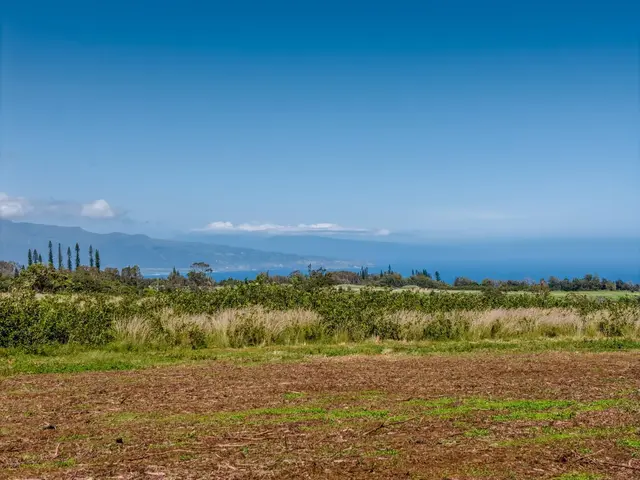 Listing Image for 93 Piiholo Rd A 17 of 39