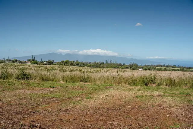 Listing Image for 93 Piiholo Rd A 18 of 39