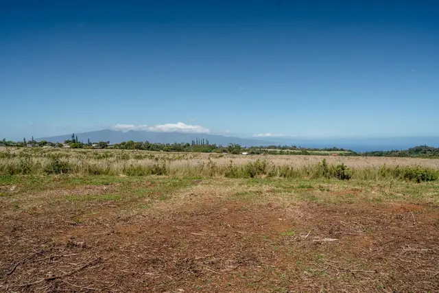 Listing Image for 93 Piiholo Rd A 20 of 39