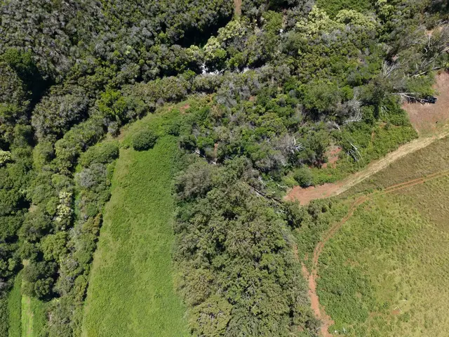 Listing Image for 93 Piiholo Rd A 21 of 39