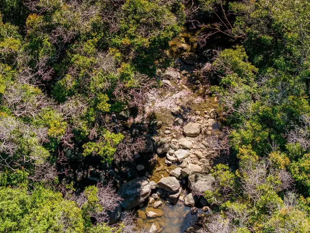 Listing Image for 93 Piiholo Rd A 22 of 39