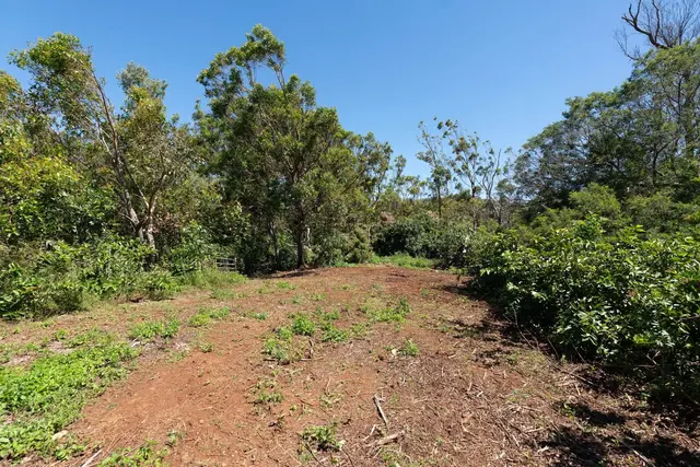 Listing Image for 93 Piiholo Rd A 23 of 39