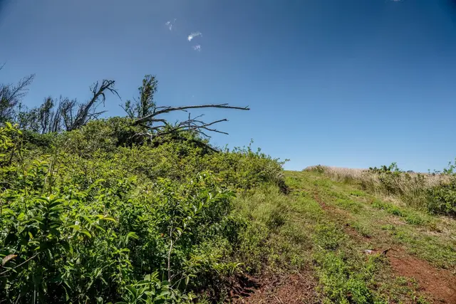 Listing Image for 93 Piiholo Rd A 24 of 39