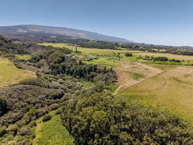 Listing Image for 93 Piiholo Rd A 25 of 39