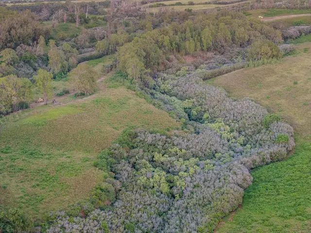 Listing Image for 93 Piiholo Rd A 26 of 39