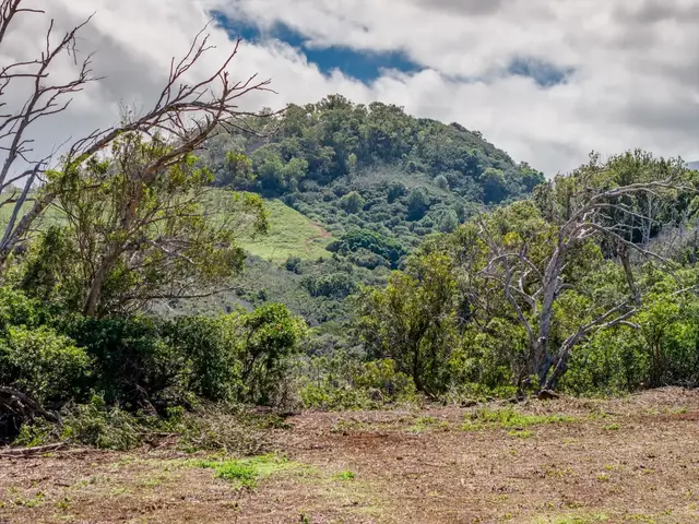 Listing Image for 93 Piiholo Rd A 28 of 39