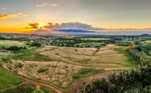 Listing Image for 93 Piiholo Rd A 3 of 39