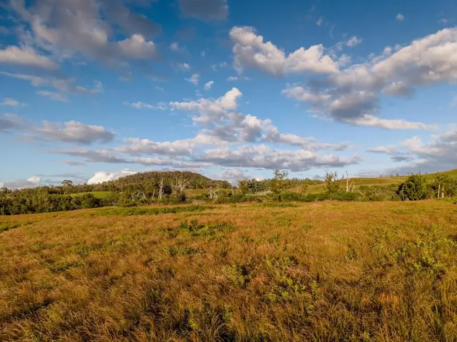 Listing Image for 93 Piiholo Rd A 33 of 39